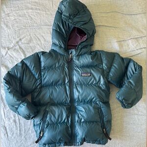 Patagonia Teal and Purple Jacket